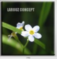 /album/photo-gallery-canvas-uri/decoratiuni-de-perete-canvas-lc-1460-jpg/